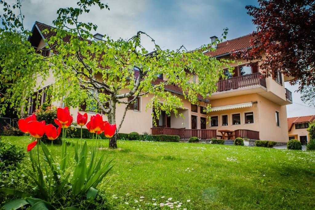 Apartments And Rooms Stefanac สลูน ภายนอก รูปภาพ